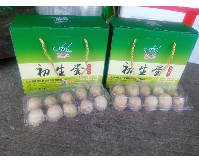 新富民初生蛋-源于天然 滋補(bǔ)有道。